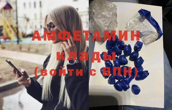 трава Балахна