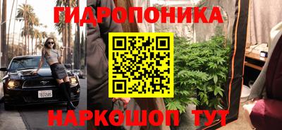 ПСИЛОЦИБИНОВЫЕ ГРИБЫ Кинель