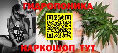 прущие грибы Кингисепп