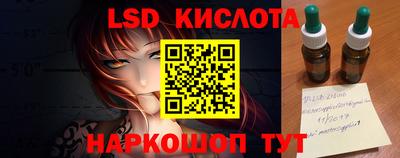 прущие грибы Кингисепп