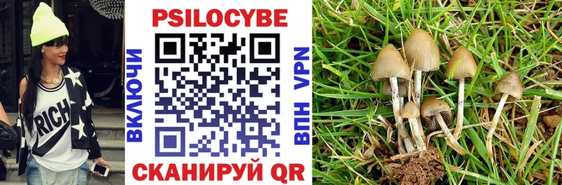 Псилоцибиновые грибы GOLDEN TEACHER  Курган 