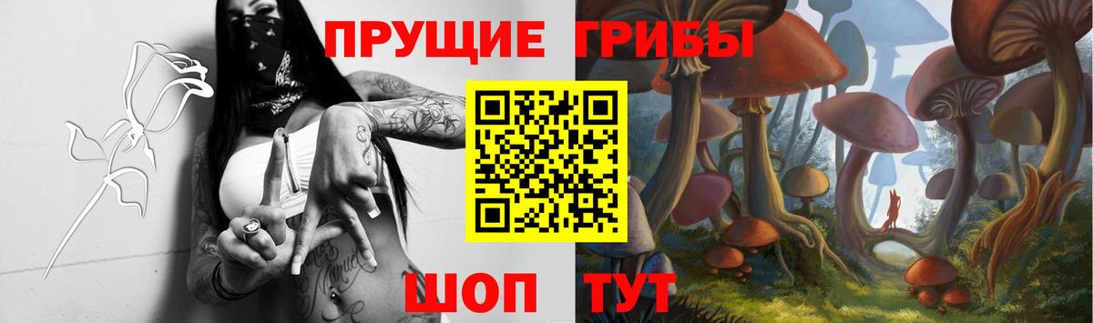 Галлюциногенные грибы Cubensis Курган