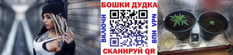 Бошки марихуана планчик  закладка  Курган 